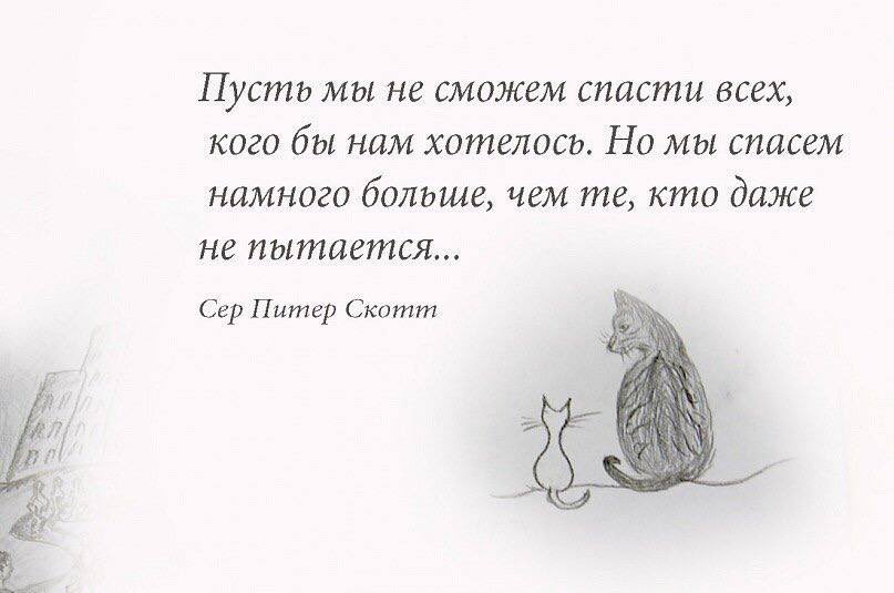Мы нашли….. Спасибо всем кто приезжал все эти дни и ночи! Кто с нами был и в выходные и в будни, не спал ночами, мокнул и замерзал на задачах. НП……