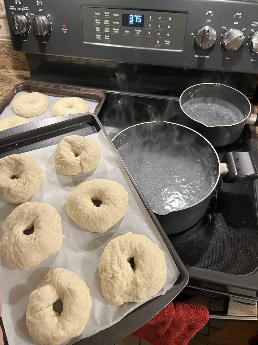 magicsfunny's tweet photo. making more bagels!!! half the batch is black sesame + salt, 4 are cinnamon sugar, and 2 are sharp cheddar 

(pics are pre bake) https://t.co/VmFxAklrOl
