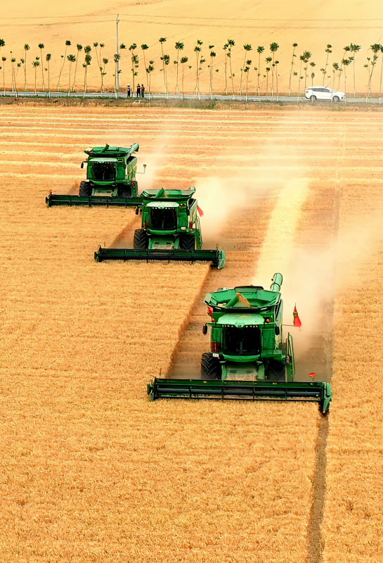 ChinaDaily's tweet photo. Henan province aims to have a record number of over 1.26 million hectares of high-standard agricultural land this year, with an investment of over 30 billion yuan ($4.3 billion). #harvest https://t.co/zWqMTrY41I