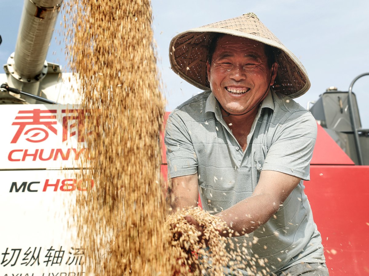 ChinaDaily's tweet photo. Henan province aims to have a record number of over 1.26 million hectares of high-standard agricultural land this year, with an investment of over 30 billion yuan ($4.3 billion). #harvest https://t.co/zWqMTrY41I