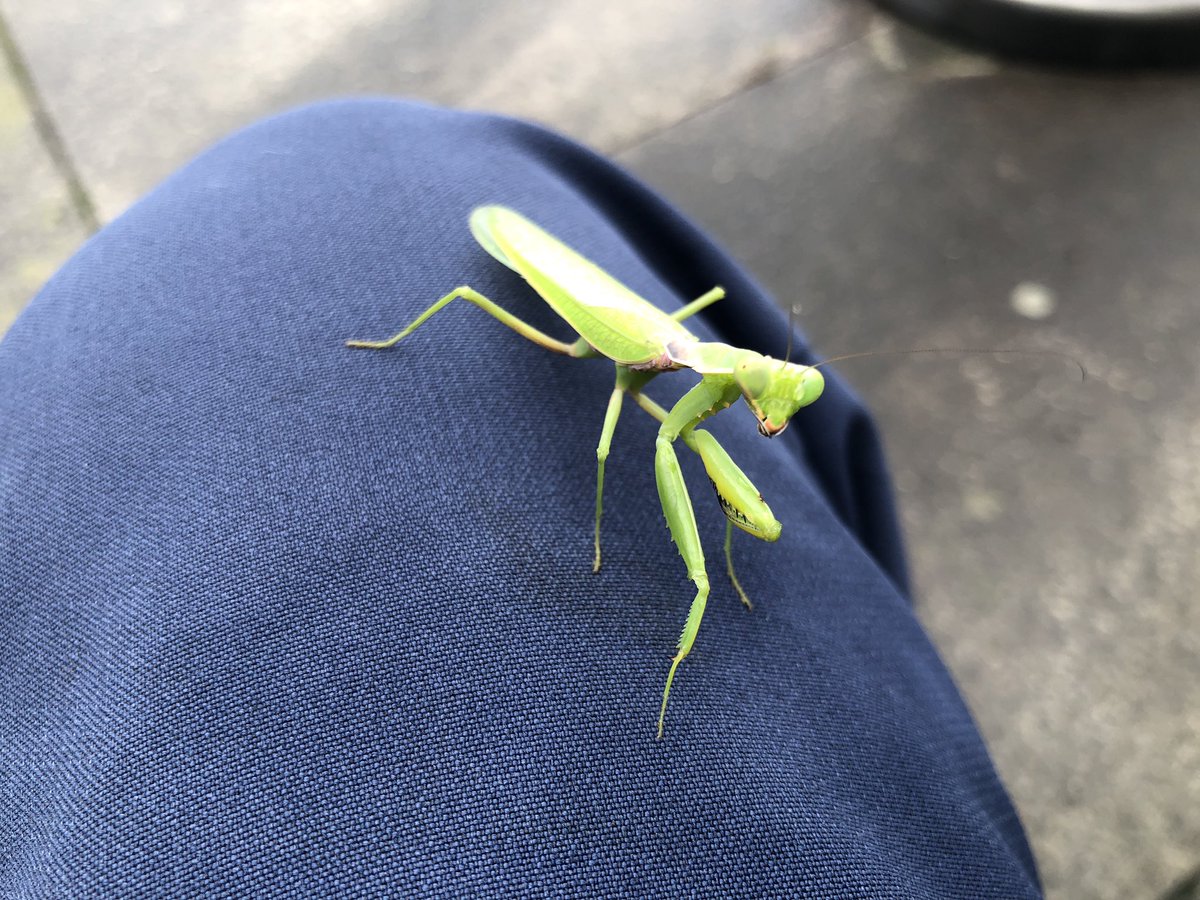 もじゃD@休止中 tweet media