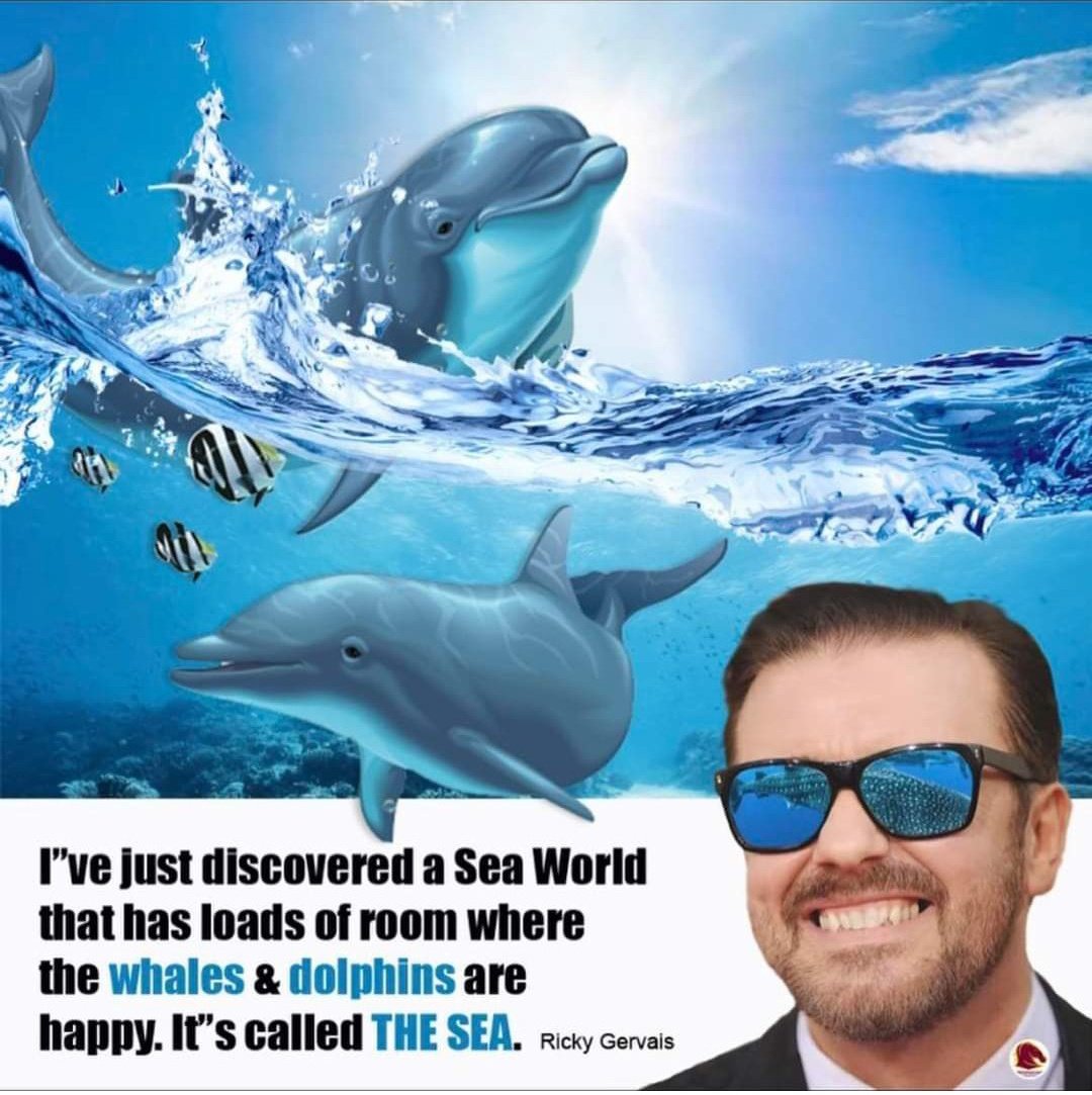 #freekiska ocean surfers will surf again tweet media