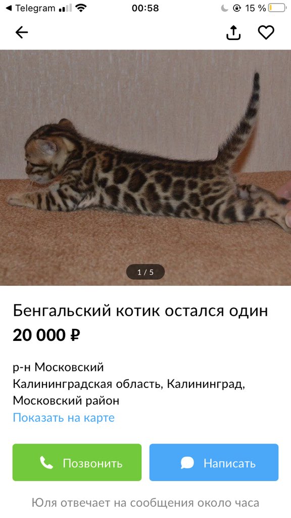 Однажды Эрнест Хемингуэй поспорил, что сможет написать самый короткий рассказ, способный растрогать любого.