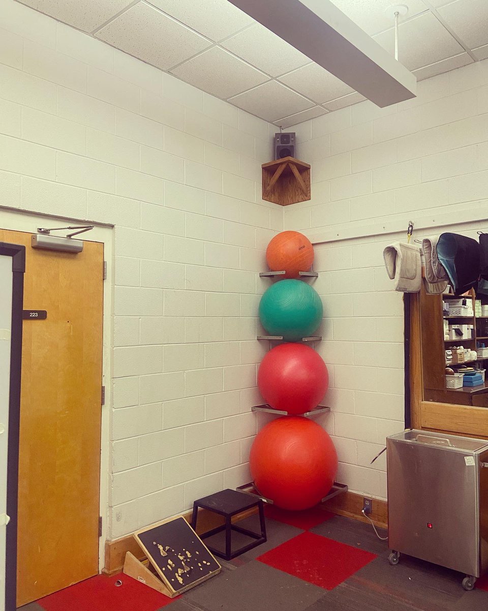 DanielL0711's tweet image. Labor Day = ATR DIY Day. Thanks @BLindsey0302 and Sean Young for lending a hand! Swiss balls racked, storage room stacked, and shelving in order. #processofprogress #diyatc #gottadoityourself
@JSU_Sportsmed