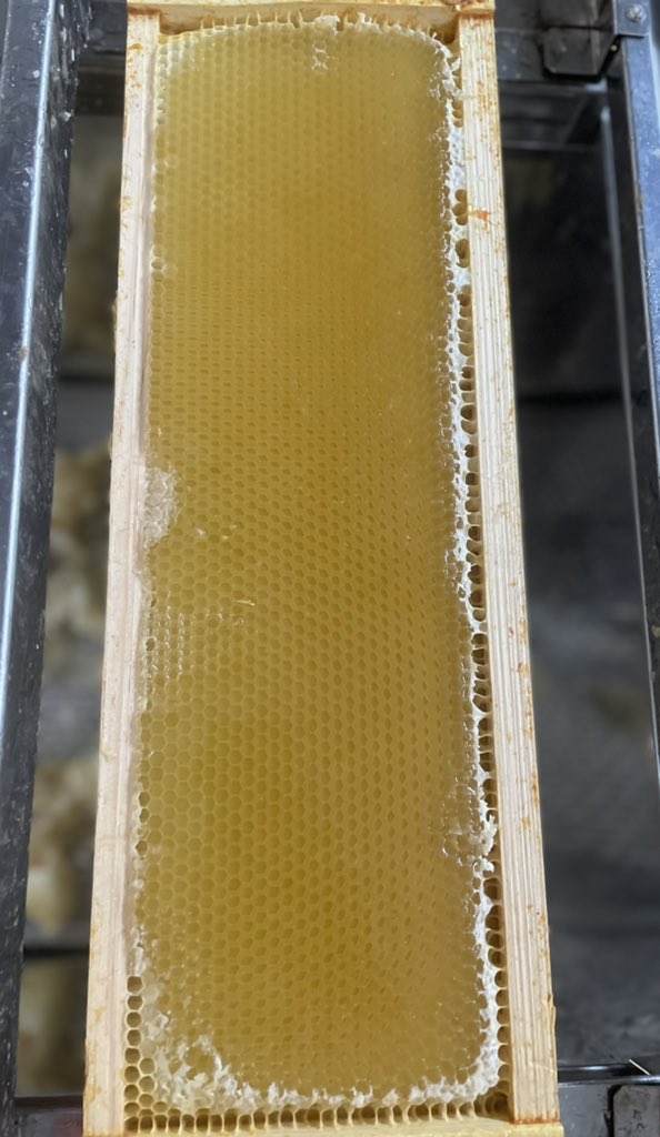 kyotemoe's tweet photo. Solid harvest this year.  Capped, uncapped and extracted honey frames…
#beekeeping #honey https://t.co/cxcjXVVWqP