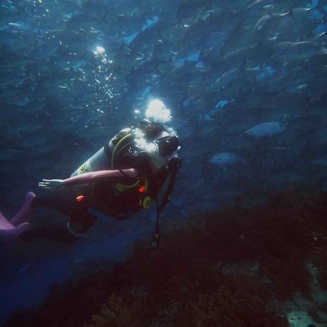 cryptogirl0728's tweet photo. Diving in the sea is a lot of fun. https://t.co/eLXUW0fqfv