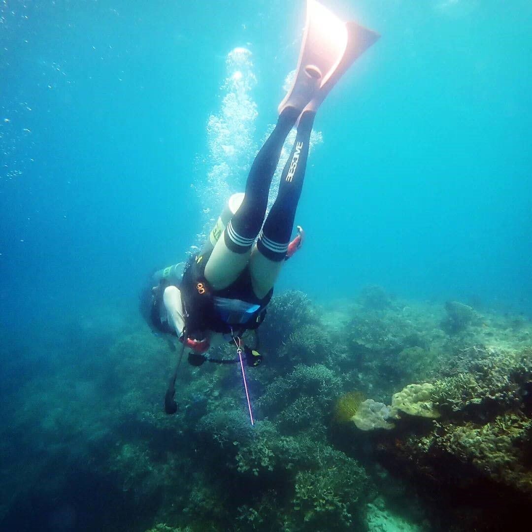 cryptogirl0728's tweet photo. Diving in the sea is a lot of fun. https://t.co/eLXUW0fqfv