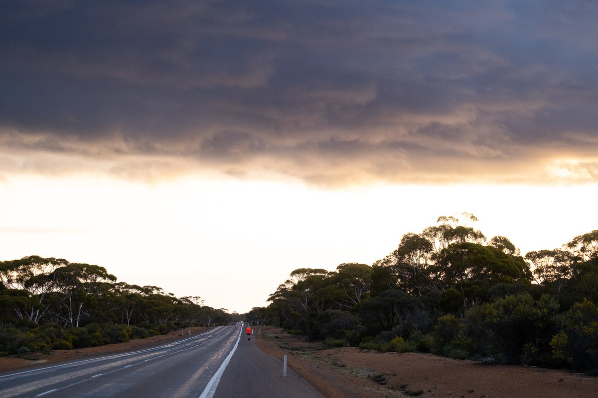 Nedd Brockmann Run tweet media