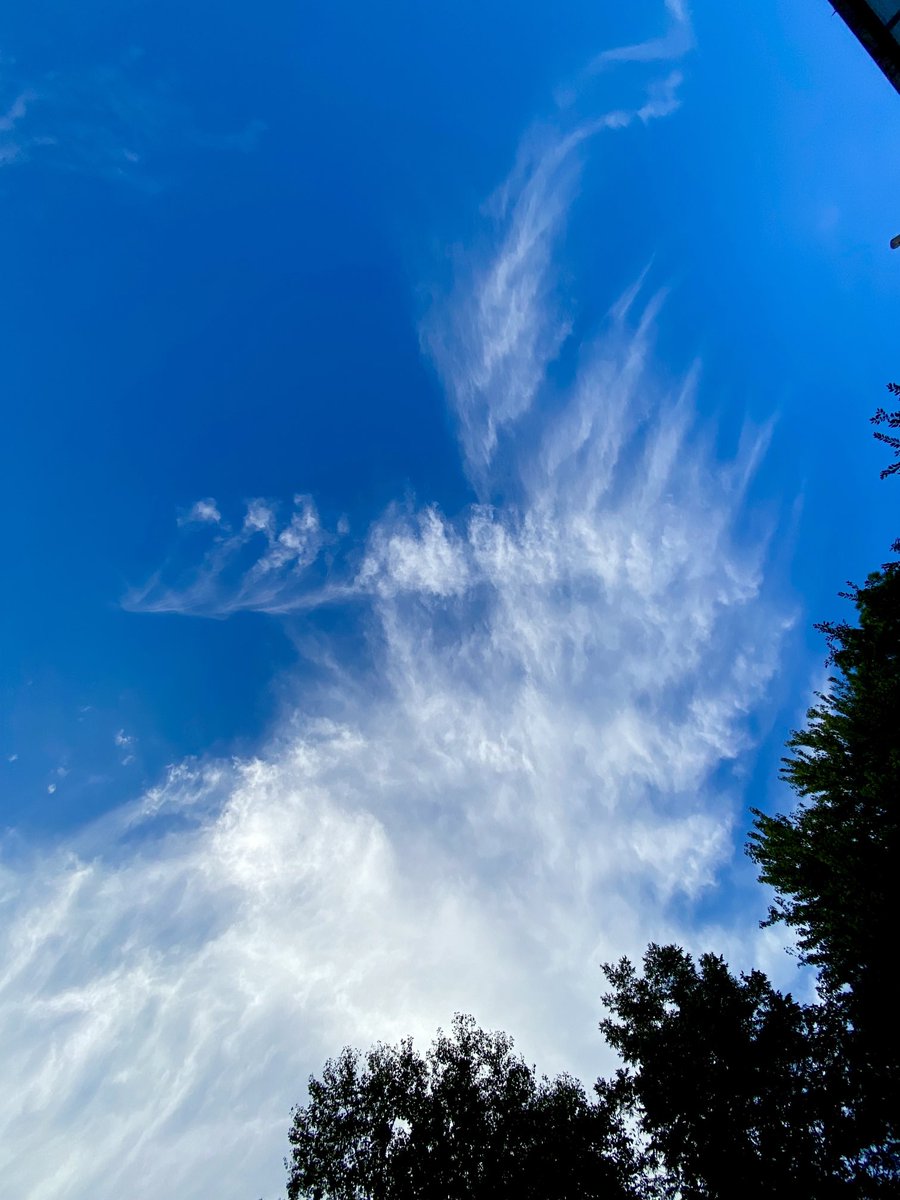 HamidehAli2's tweet photo. Clouds… https://t.co/PZlszZPvkF