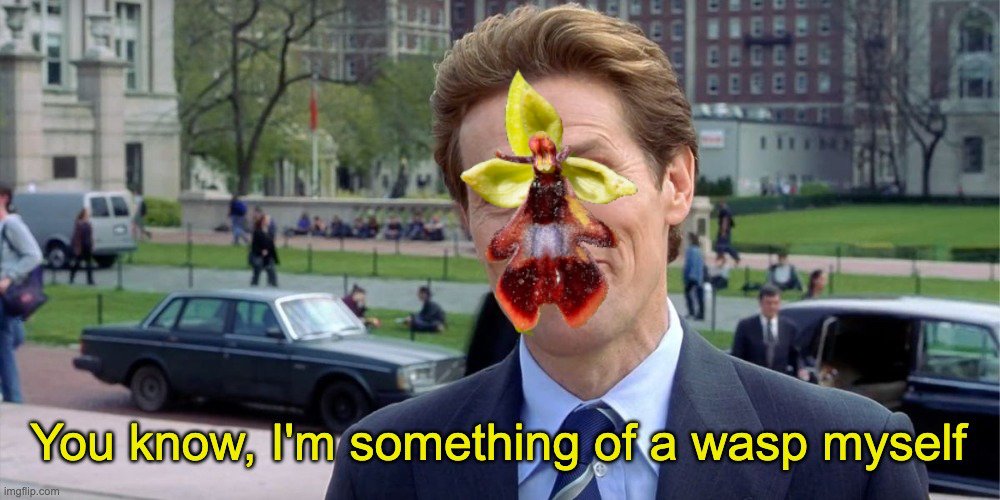 menyanth's tweet photo. Working on botany memes instead of regular lecture content https://t.co/ftj0vqOxND