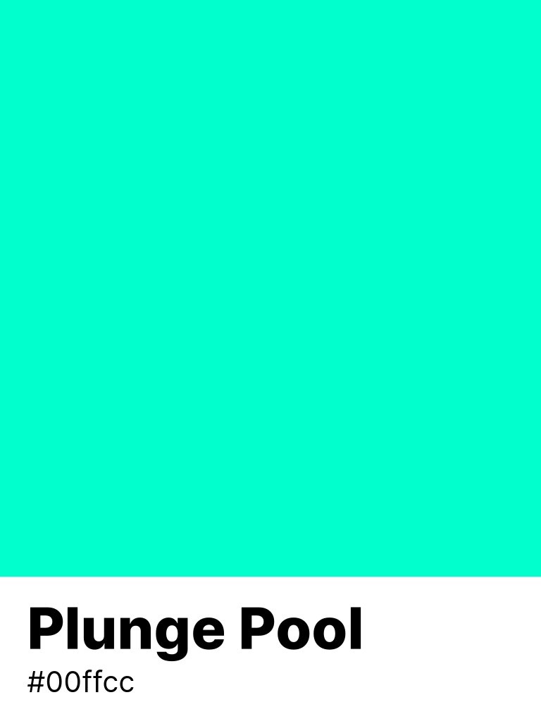 color_parrot's tweet photo. #Plunge_Pool #00ffcc https://t.co/mNXhbgB27w https://t.co/sFzc3xO64I