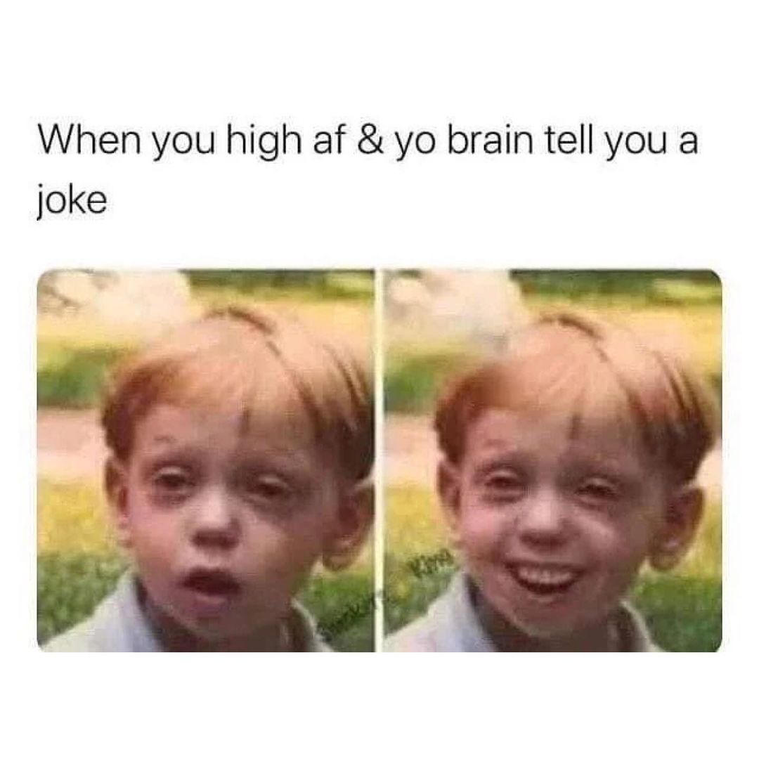 dakubrand's tweet photo. “If we all had a bong, we’d all get along.”

#cannabismeme #memes #cannabis #weedmeme #meme #weedmemes #weed #cannabismemes #cannabiscommunity #marijuana #stoner #stonermeme #stonermemes https://t.co/mXHCjffUR0