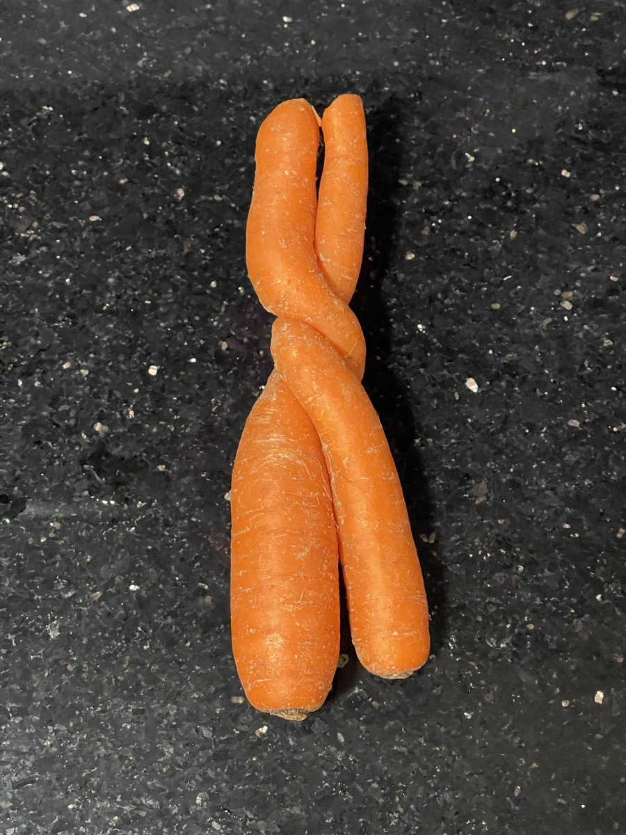 eliseliselise's tweet image. Aww they’re in love 🥹