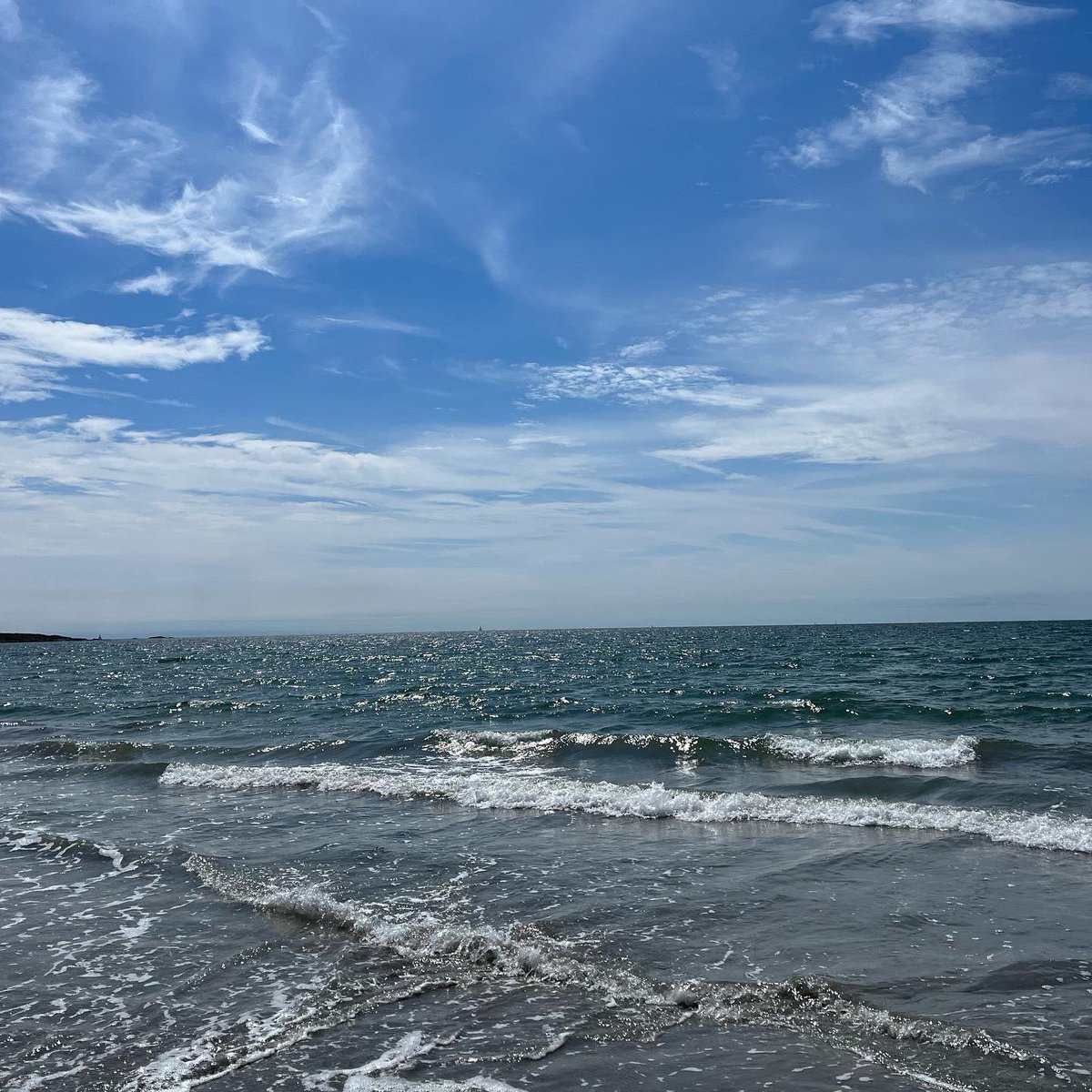 Michelle MacDonald tweet media