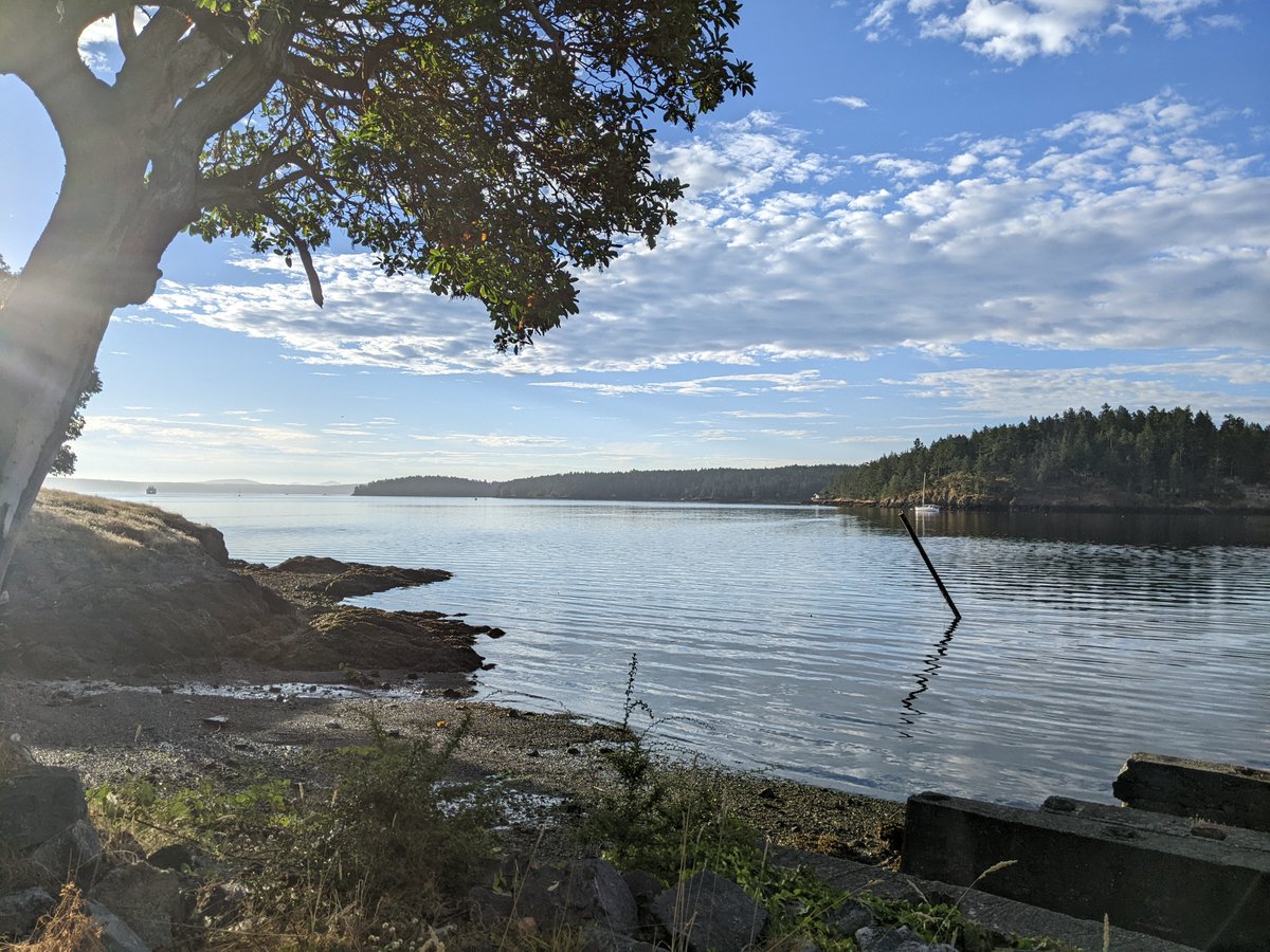 Landon Bayless-Edwards (@baylesslandon) on Twitter photo Had an incredible time at the <a href="/AllenInstitute/">Allen Institute</a> /<a href="/uwcnc/">UW Computational Neuroscience Center</a> Summer Workshop on the Dynamic Brain. A huge thanks to the course organizers <a href="/mabuice/">Michael Buice</a> <a href="/alfairhall/">Adrienne Fairhall</a> @sejdevries Shawn Olsen, and Eric Shea-Brown as well as all the instructors, TAs and fellow students! #SWDB2022 Had an incredible time at the <a href="/AllenInstitute/">Allen Institute</a> /<a href="/uwcnc/">UW Computational Neuroscience Center</a> Summer Workshop on the Dynamic Brain. A huge thanks to the course organizers <a href="/mabuice/">Michael Buice</a> <a href="/alfairhall/">Adrienne Fairhall</a> @sejdevries Shawn Olsen, and Eric Shea-Brown as well as all the instructors, TAs and fellow students! #SWDB2022