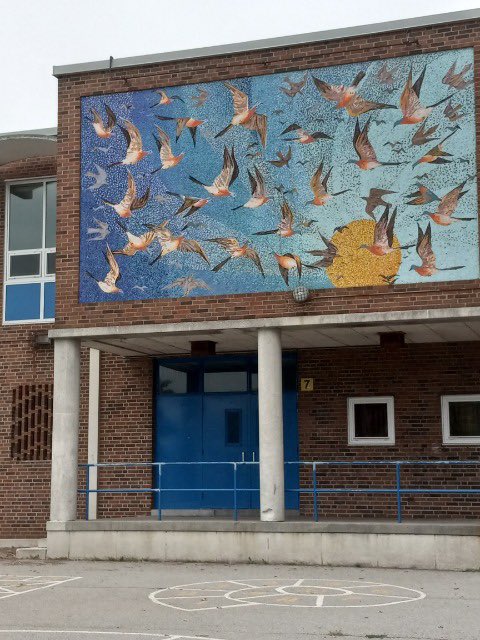 davidbuwalda's tweet photo. #birdsofspray #mimico https://t.co/M9jKFTRyU3