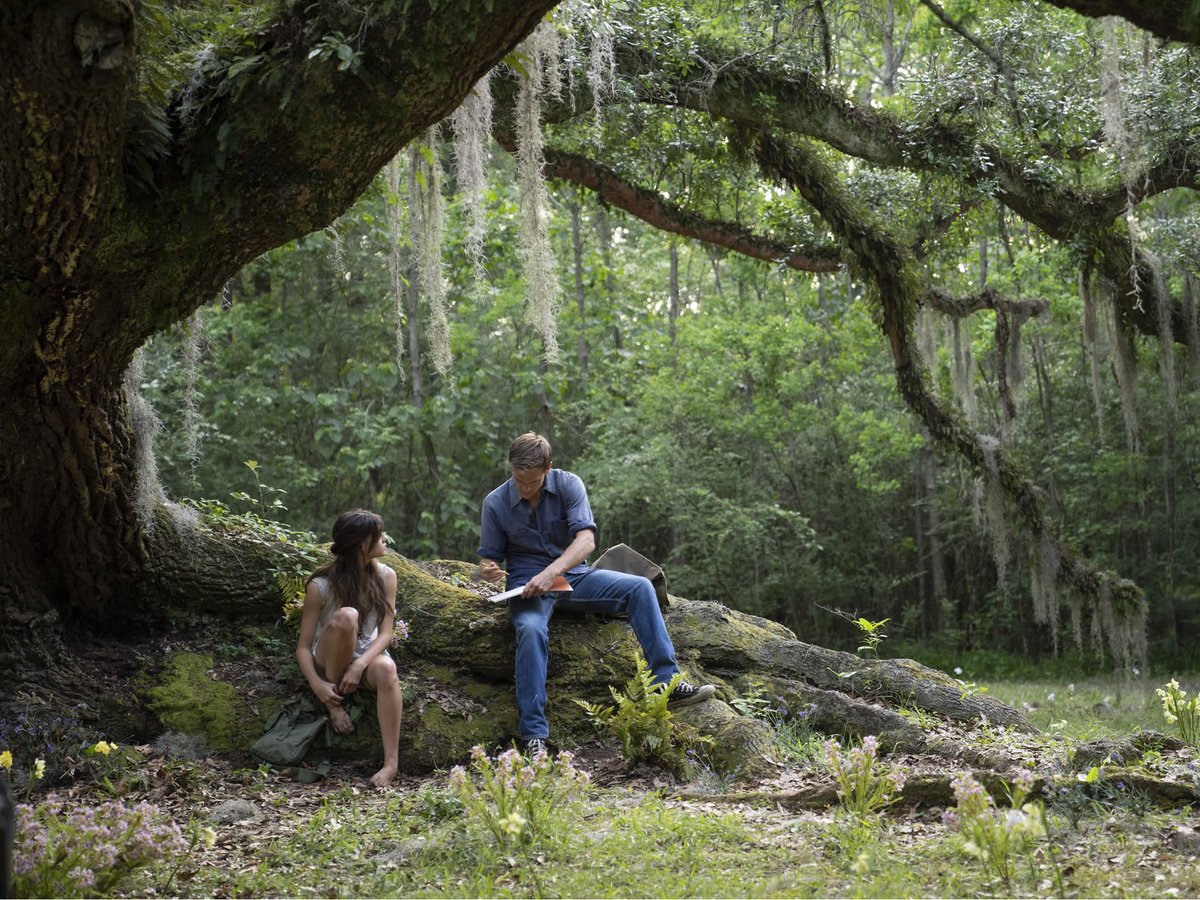 Resenhando's tweet photo. Em 2h 5m, "#UmLugarBemLongeDaqui", com ares de "#ALagoaAzul" e "#Nell", brinca com quem está do outro lado da telona no #Cineflix Cinemas, seja por acrescentar novas informações -nem sempre completas- ou por plantar dúvidas. https://t.co/asj5wW3MlQ https://t.co/ffxRlRmusw