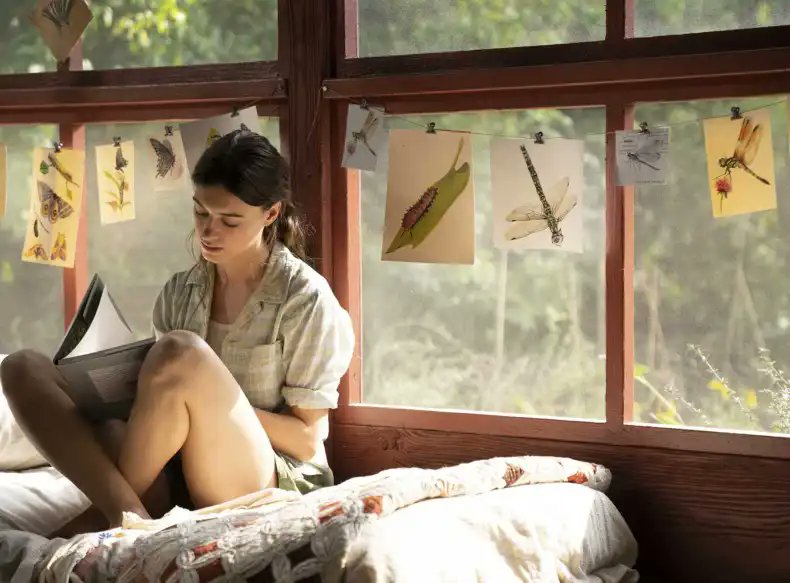 Resenhando's tweet photo. Em 2h 5m, "#UmLugarBemLongeDaqui", com ares de "#ALagoaAzul" e "#Nell", brinca com quem está do outro lado da telona no #Cineflix Cinemas, seja por acrescentar novas informações -nem sempre completas- ou por plantar dúvidas. https://t.co/asj5wW3MlQ https://t.co/ffxRlRmusw