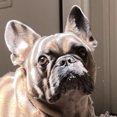 AuNewt's tweet photo. #NewProfilePic https://t.co/eCfmb6mw0A