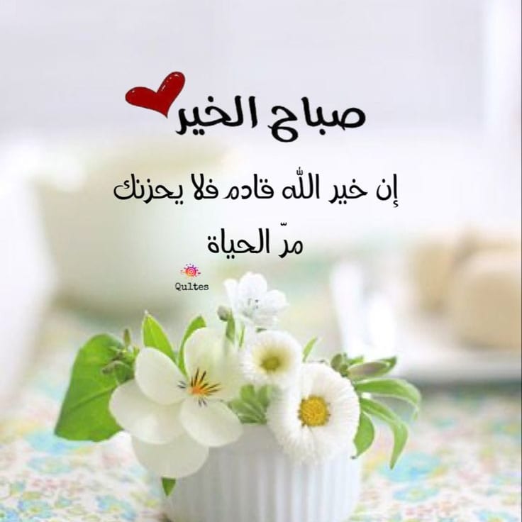 #صباح_الخير