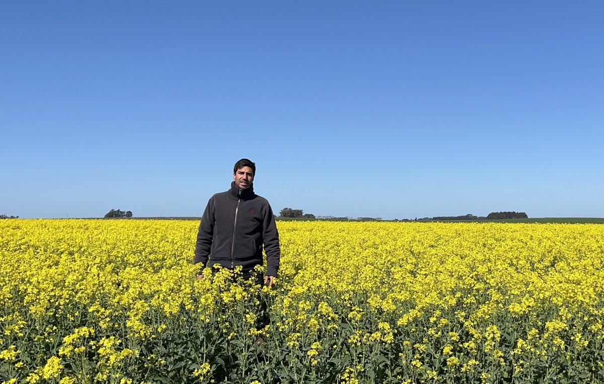 World_Farmers's tweet photo. Hello to everyone! My name is Mathias Nario, I’m an Agronomist working in a family farming company in Uruguay. We have summer crops, winter crops, and we also manage livestock; trying to mix both activities. This week I’ll be sharing pictures and videos from the farm. https://t.co/YPnrUc7oaL