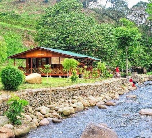 staycation.ig tweet media