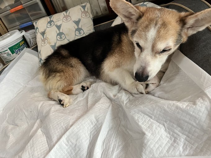 おはようございます。 