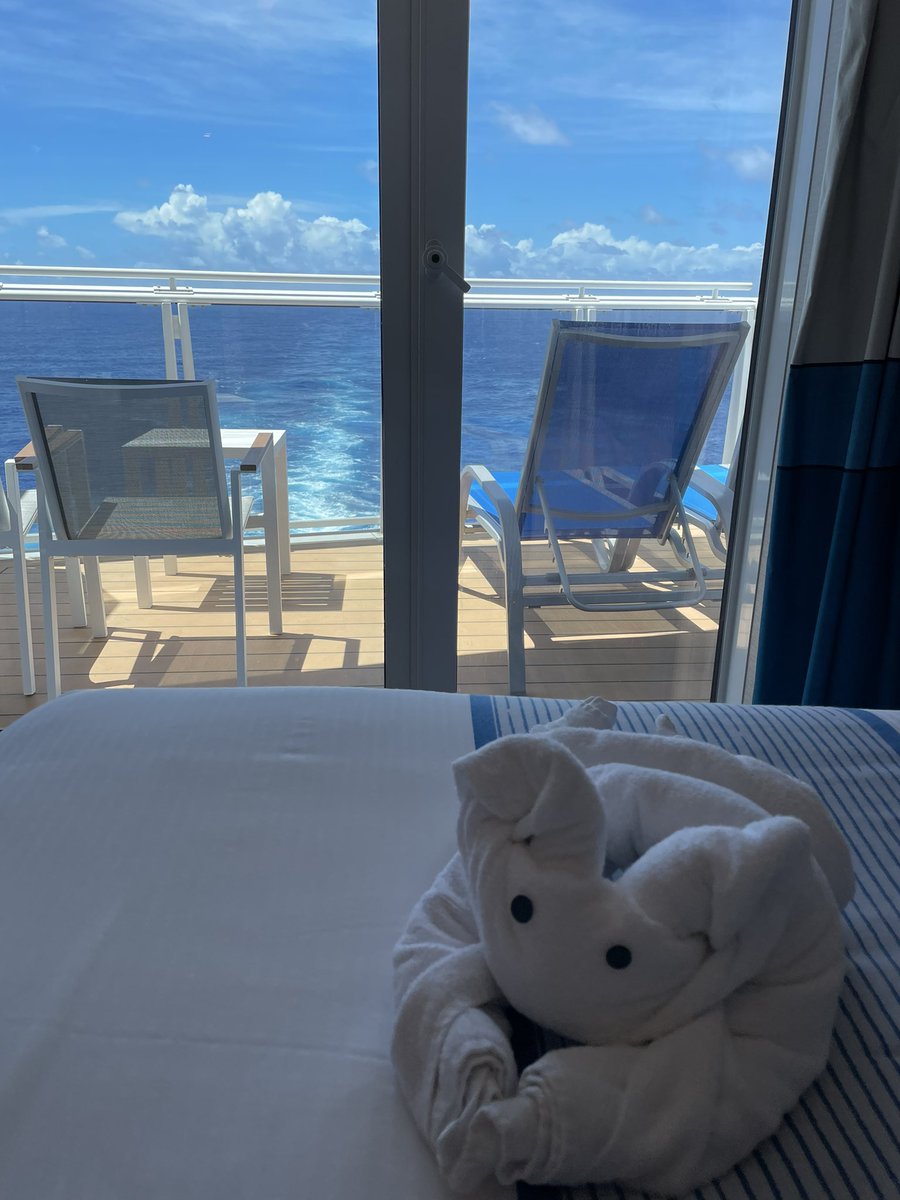 ausbai's tweet photo. There’s nothing like the view from an aft view extended balcony! https://t.co/VvKYD5SWDG