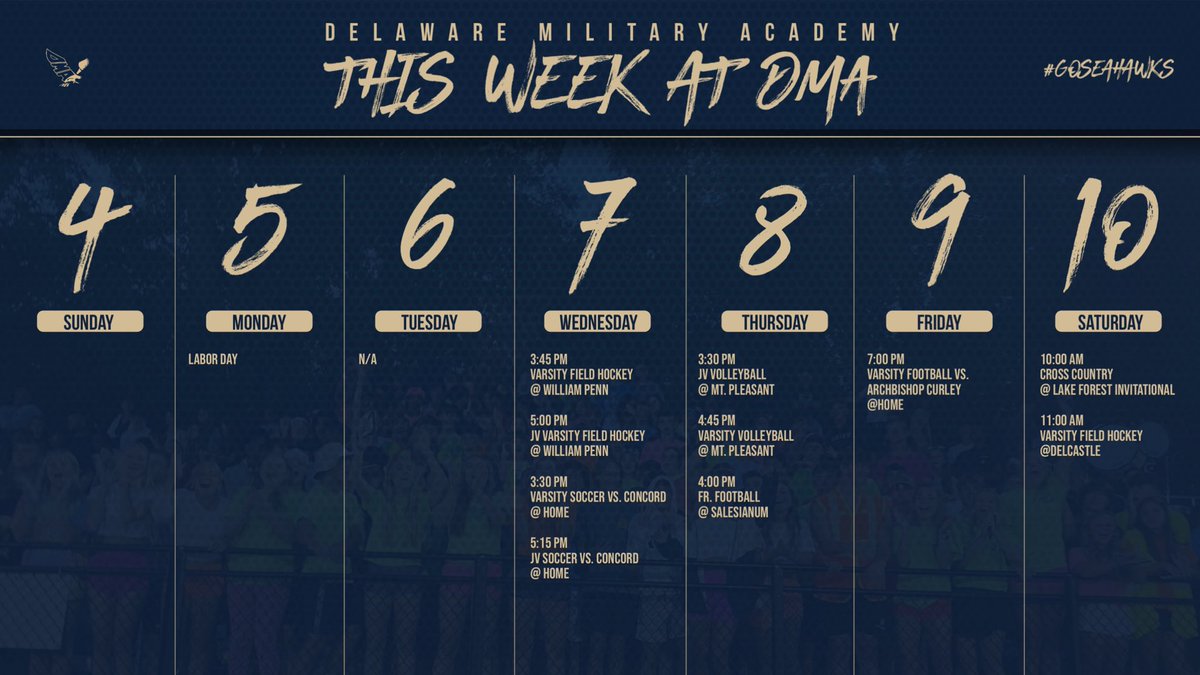 This week at DMA ⚓️💙💛