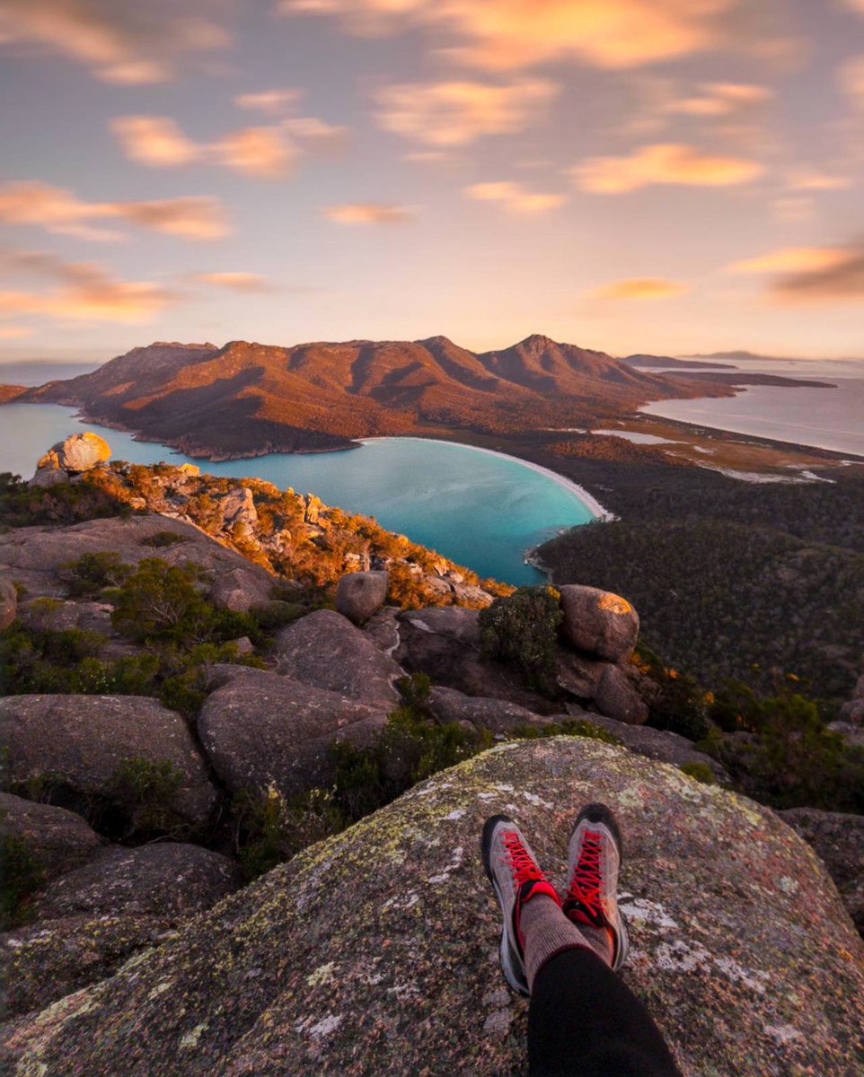 in_focus_studios tweet media