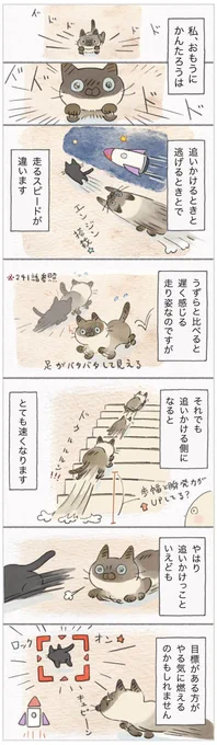 かけっこ苦手タイプじゃなかった? 標的が決まると身体能力が倍増する猫【連載】ねこ連れ草 242話め|ねこのきもちWEB MAGAZINE https://t.co/lTKBrh2gBA 