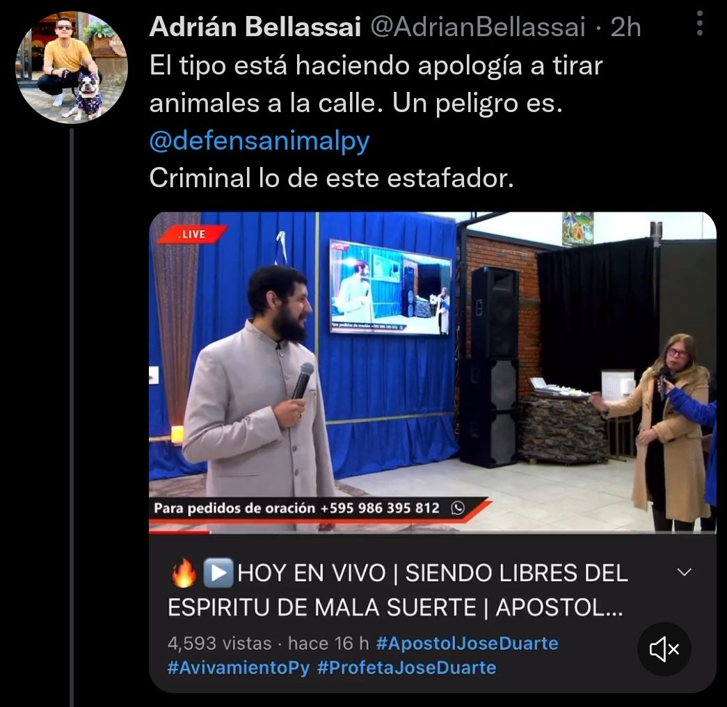 esbishopy's tweet photo. 👏🏼Matar seres humanos indefensos está excelente 🥳

🥺 Tirar gatitos a la calle es aberrante, cruel, criminal, se merecen el fuego eterno, la cárcel, pena de muerte 😭 https://t.co/7LJaO0vMJ7