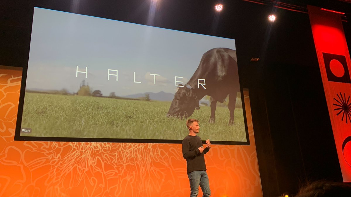 Creative HQ tweet media