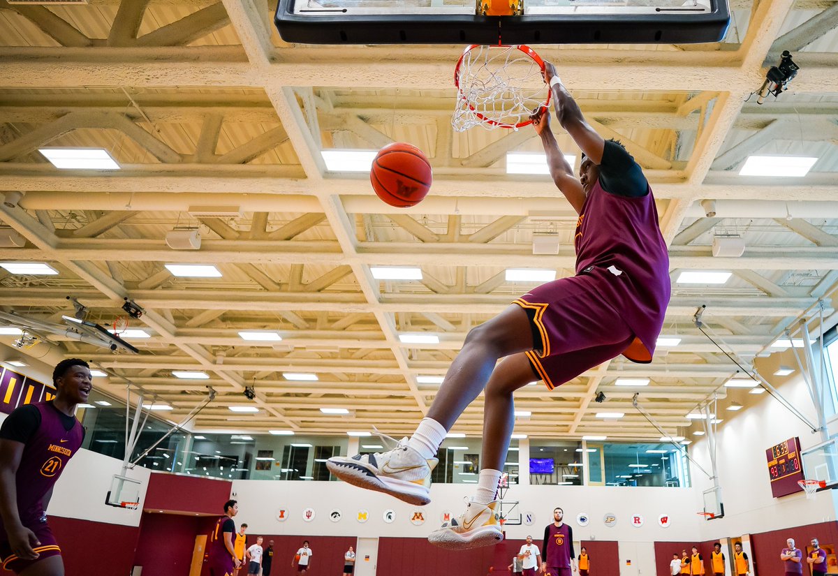 GopherMBB's tweet image. Back in the lab tomorrow!

#Gophers #C2F