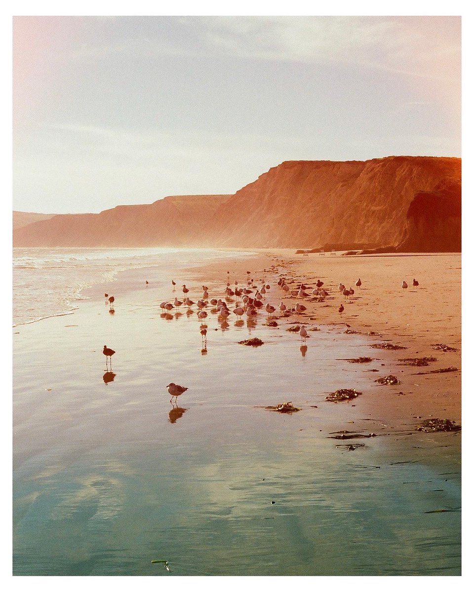 EdgewoodEdition's tweet photo. Don’t forget you have film in your camera and open the back, kids @LegacyPhotoLab https://t.co/cd9BMDL4Rz