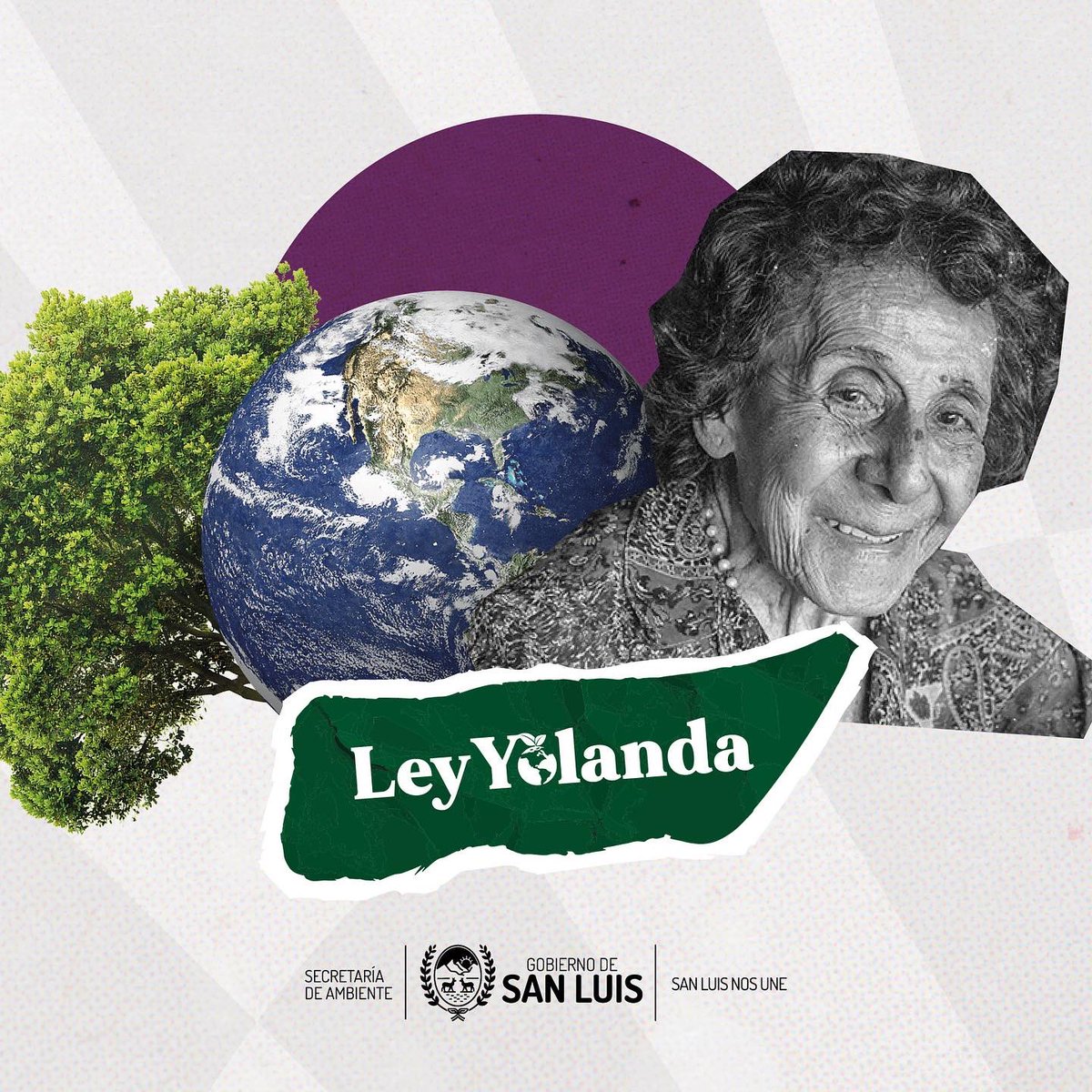 AmbienteSanLuis's tweet photo. 🌿 San Luis comienza con la implementación de la Ley Yolanda  https://t.co/nZKvKlGukJ https://t.co/J8xBhHWa35