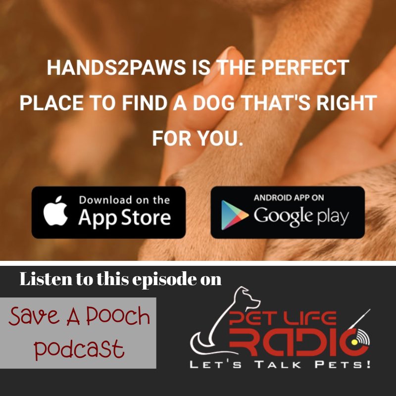Saveapooch's tweet image. HANDS 2 PAWS APP: MATCHING YOU WITH A DOG SUITABLE FOR YOUR LIFESTYLE &amp;amp; AN ETHICAL BREEDER OR RESCUE

petliferadio.com/saveapoochep52…