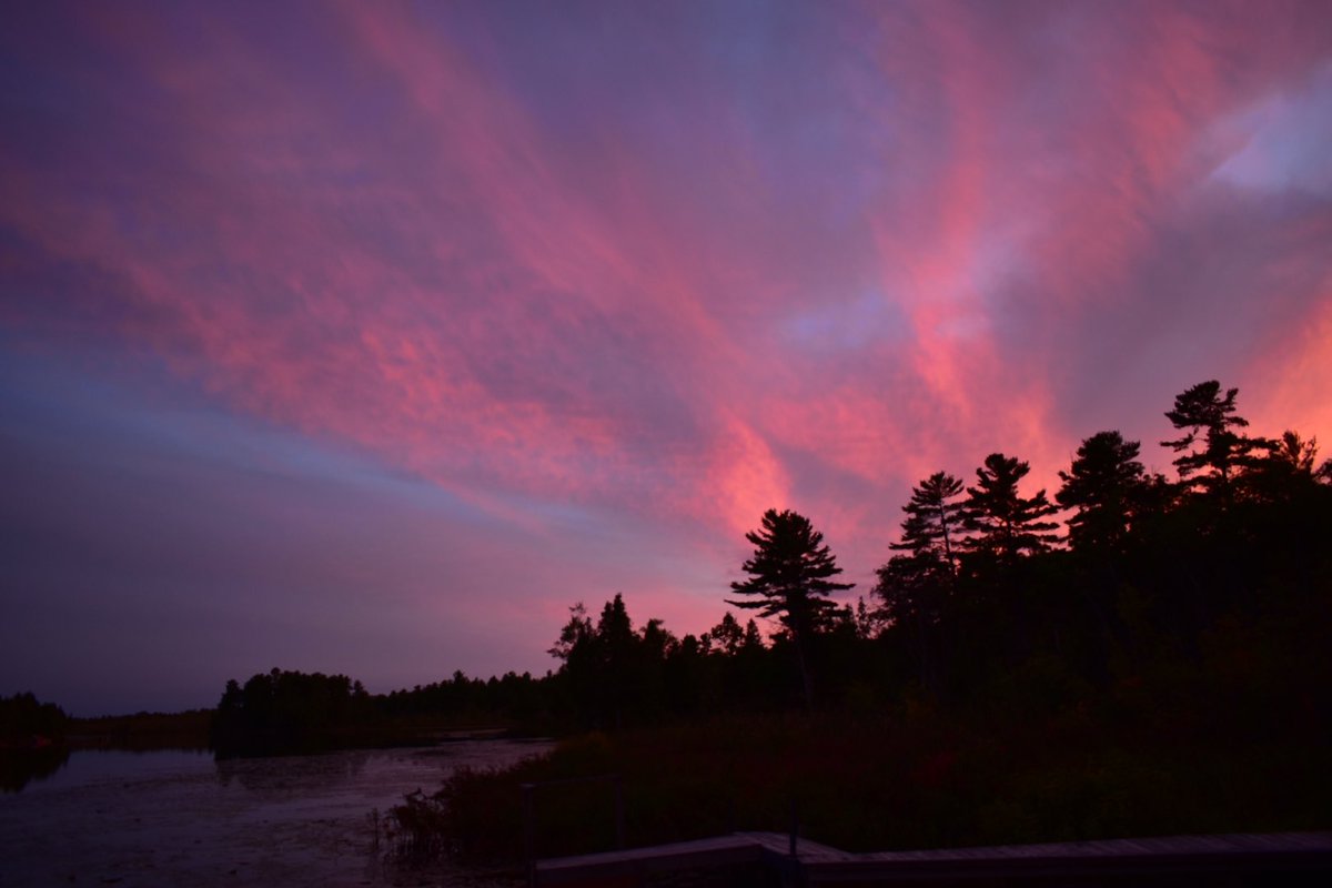 KDianePick's tweet photo. Our sunset tonight is Mother Nature’s way of wishing all of our kids (and grandkids) a brilliant &amp; healthy school year. ❤️#NaturePhotography #BrilliantSunset #HappySchoolYear #BackToSchool2022 https://t.co/zeTz1clI6E