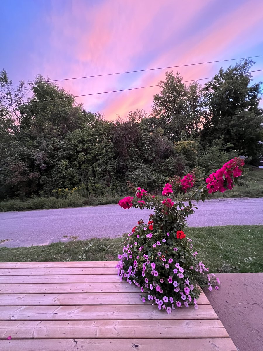 ElyseKellar's tweet photo. This sunset, after a beautiful weekend, is the perfect way to start September. @Ptbo_Canada #Ptbo #nofilterneeded https://t.co/7pdqeYEFvK