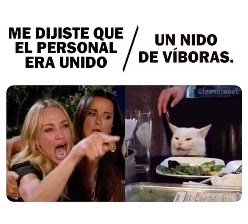 MadreSemestrosa's tweet photo. Qué tal su ambiente laboral 🧐 https://t.co/lKQ8t128e2