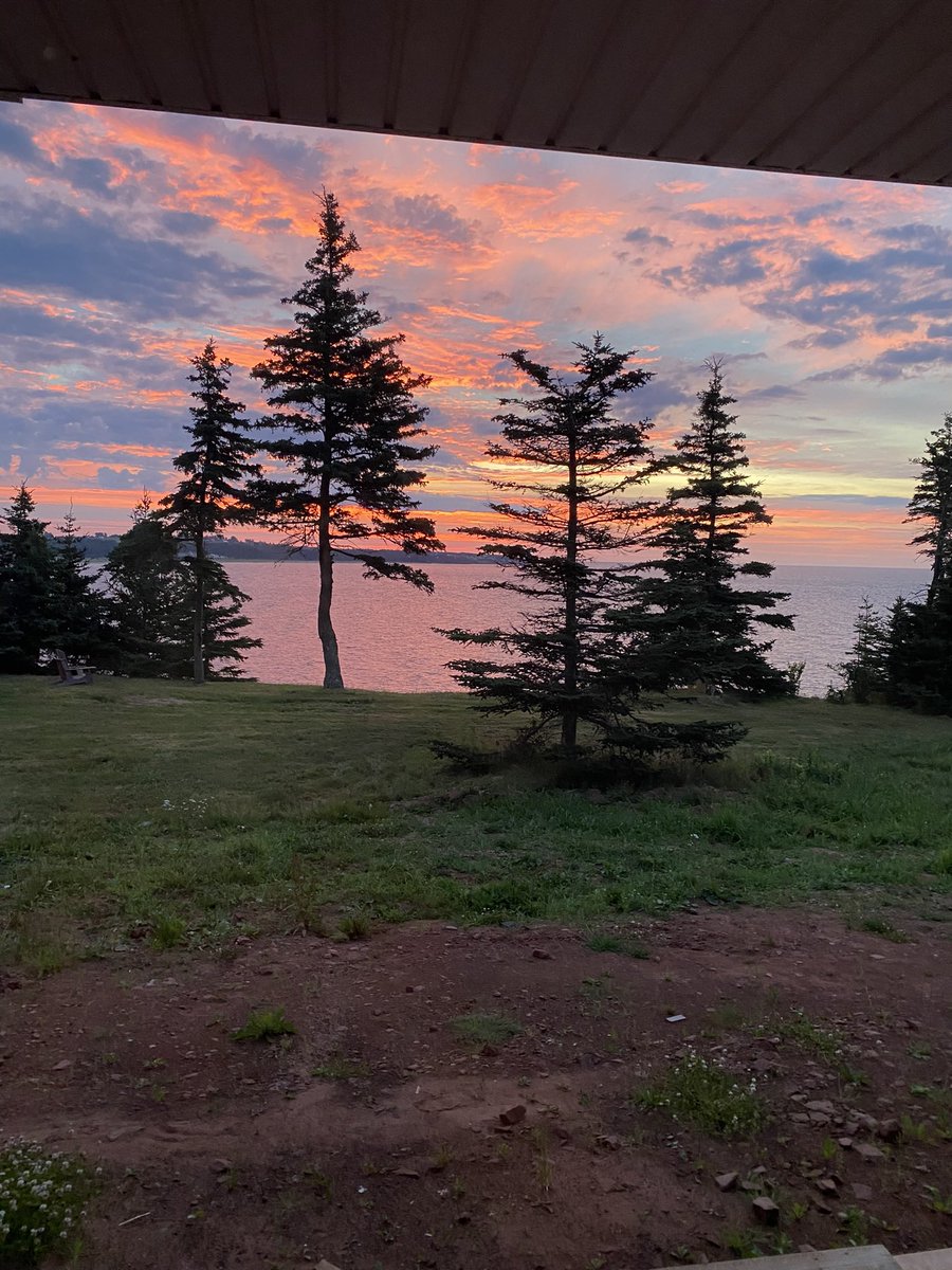 macaulay_tracy's tweet photo. Wishing all of my friends at @OttCatholicSB a great first day tomorrow.  Sleep well everyone. https://t.co/dnIqkeYlh7