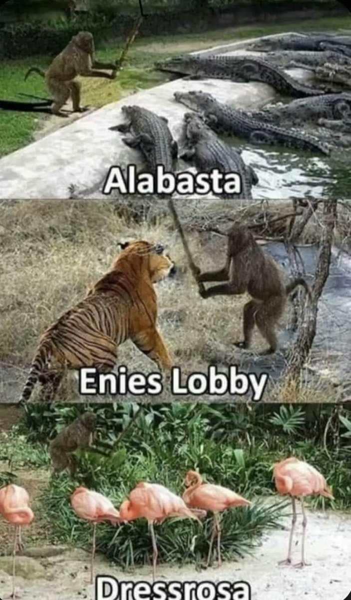DailyOPMemes's tweet photo. Anime : One Piece https://t.co/VkqUK2978V