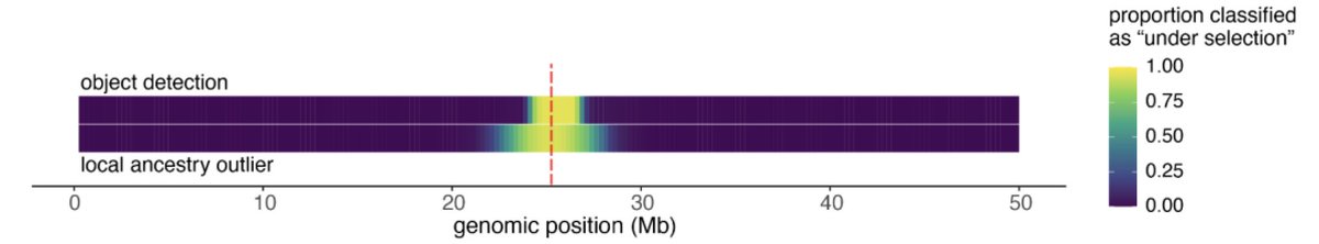 in particular, our method localizes an adaptive locus to much smaller genomic window, which should improve downstream interpretation