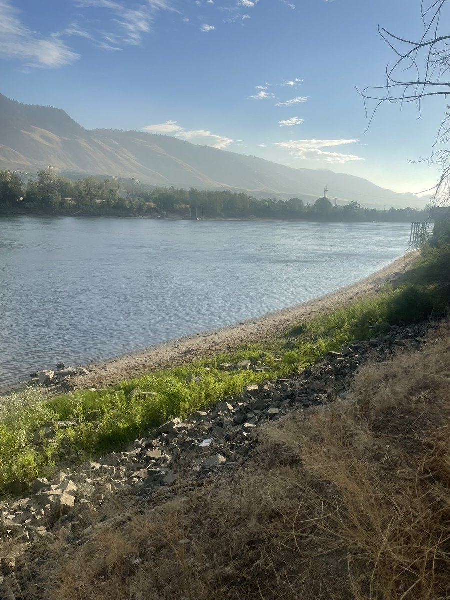 JackieH76558609's tweet photo. North Shore River Trail
British Columbia
#britishcolumbia #northahore #runningtrail #September2022 https://t.co/uKfSlDHvd9