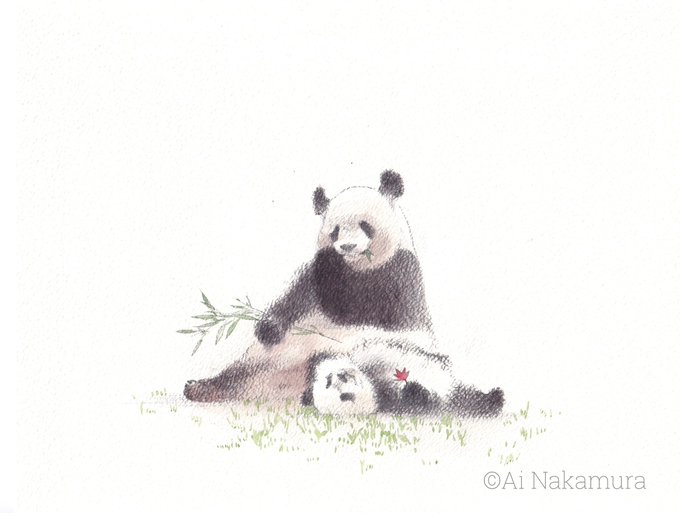 中村 愛@shirokuma__aiのイラスト作品一覧(人気順)