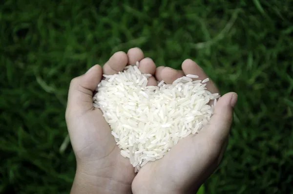 Got my very first salary from web3 so lets share this abundance with everyone 

Papa Bii-gas tayo🍚

1 sack of rice giveaway for this community. 

Like RT tag 3 friends, follow <a href="/PapaBii_RMT/">Papa Bii</a> 
<a href="/METAINio/">METAIN.io 🔺Road To INO</a>

Join METAIN discord server.
discord.gg/87wKudwS

Love you 💕