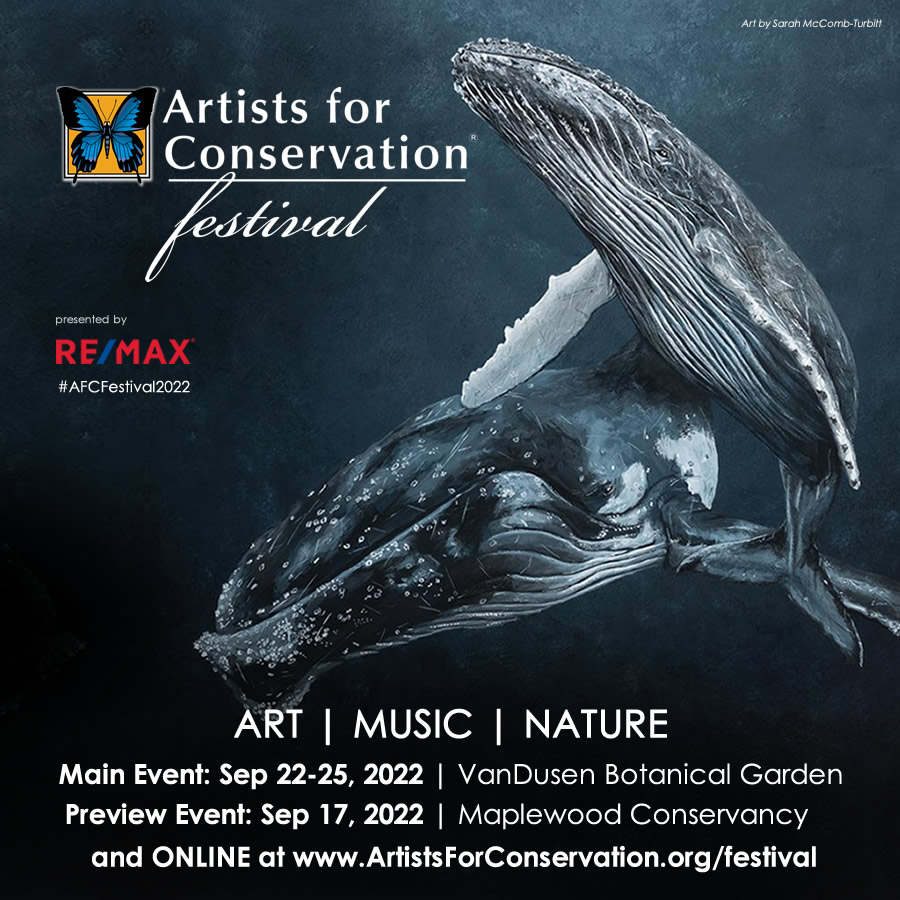 Coming soon! Mark your calendars for the 12th Artists for Conservation Festival. Visit artistsforconservation.org/festival  <a href="/VanDusenGdn/">VanDusen Garden</a> <a href="/remaxwesterncan/">REMAX of Western Canada</a> <a href="/MaplewoodFlats/">Maplewood Flats</a>