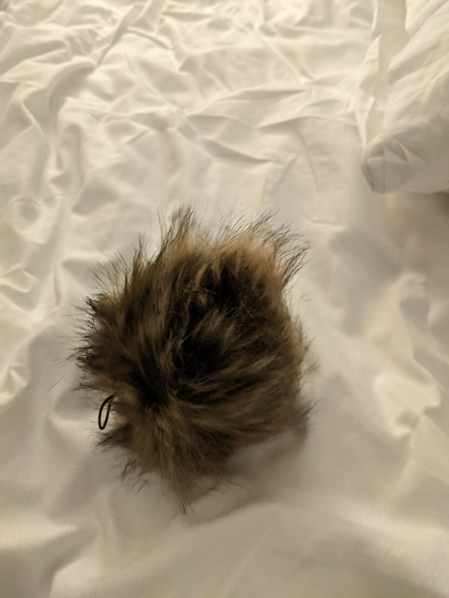 formerdinosaur's tweet photo. Was for real obsessed with this tribble, and also with this palm tree that I will hunt to the ends of the earth to have in my home https://t.co/69iNW1Z2Mg