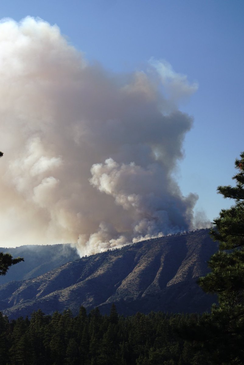 Javier Hernandez on Twitter "View of RadfordFire from the south east