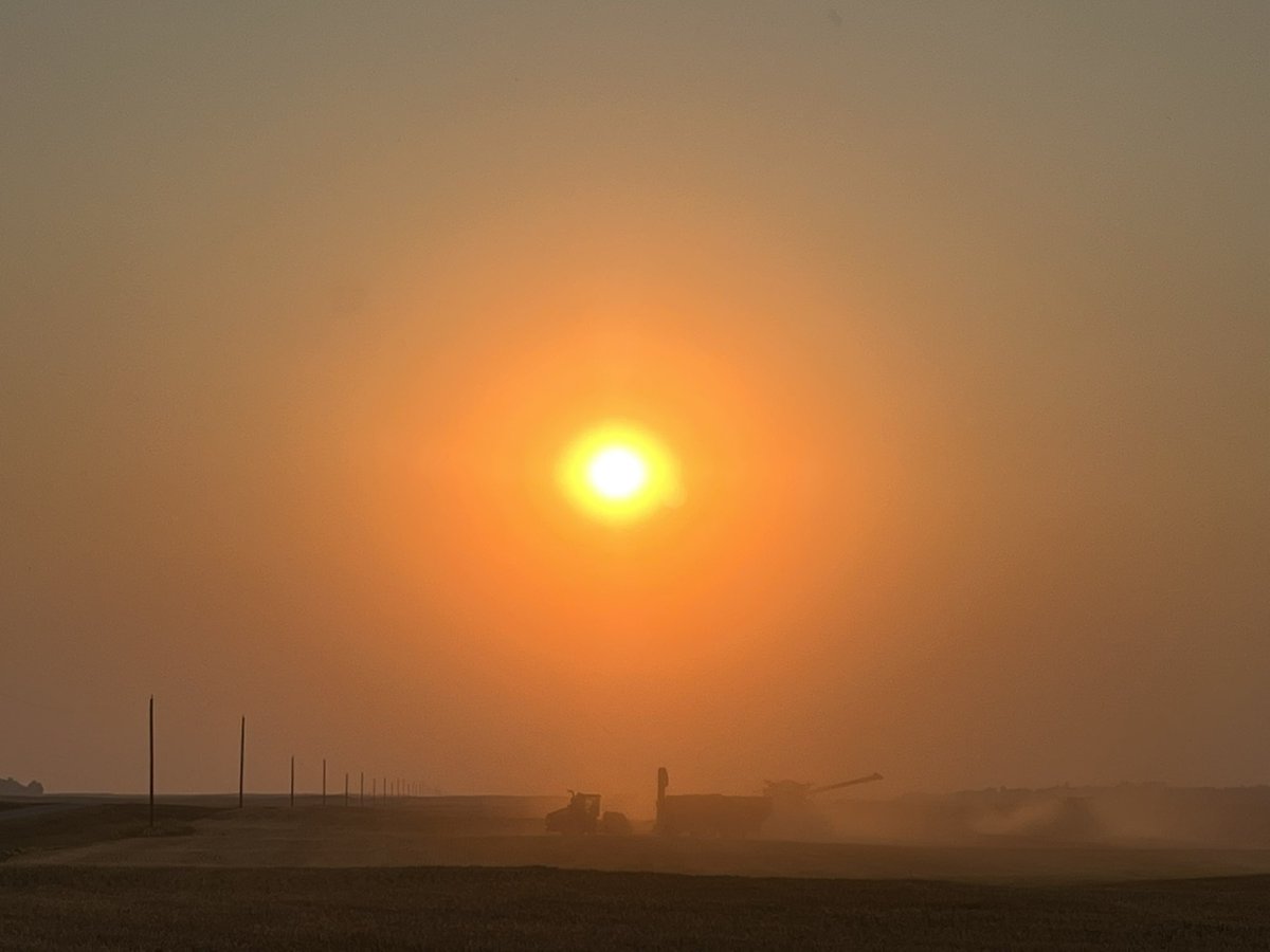 Sun setting on a great weekend of harvesting malt barley with <a href="/Lee_Johnson27/">Northland Seeds Inc</a> <a href="/iEVANJohnsoN/">Evan Johnson</a> 👊 🌾 🍺 🥪 #harvest2022 #dusty